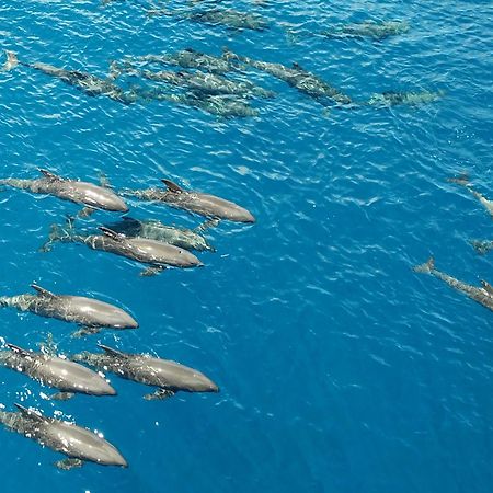 Atauro Dive Resort Beloi Екстериор снимка
