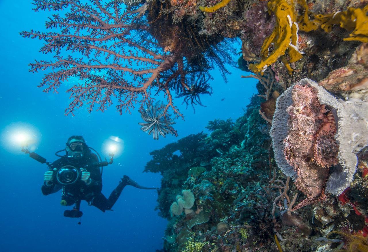 Atauro Dive Resort Beloi Екстериор снимка